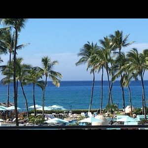 Meet your Posher, Jayme